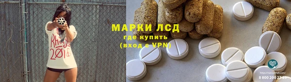гидра Арсеньев