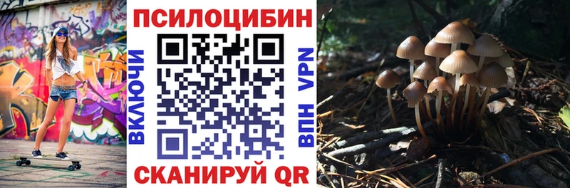 ОМГ ОМГ маркетплейс  Калининск  Галлюциногенные грибы Psilocybine cubensis 